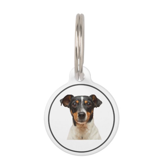 De Labels van identiteitskaart van de douane met N Huisdierpenning (Voorkant)