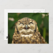 De lach van de uil! :) briefkaart (Voorkant / Achterkant)