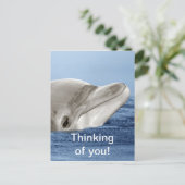 De lachende dolfijn briefkaart (Staand voorkant)