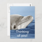 De lachende dolfijn briefkaart (Voorkant / Achterkant)