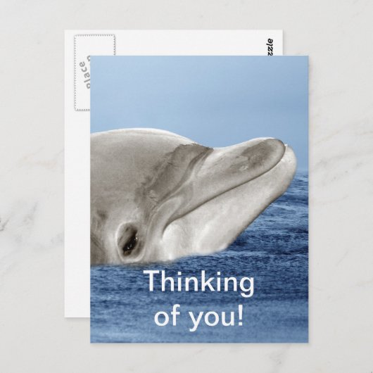 De lachende dolfijn briefkaart (Voorkant / Achterkant)