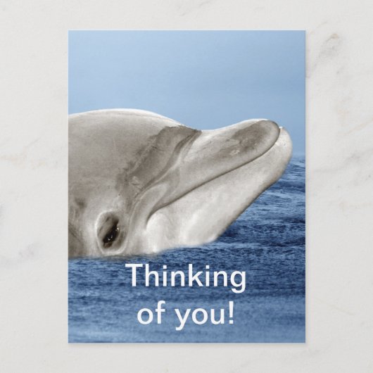 De lachende dolfijn briefkaart (Voorkant)