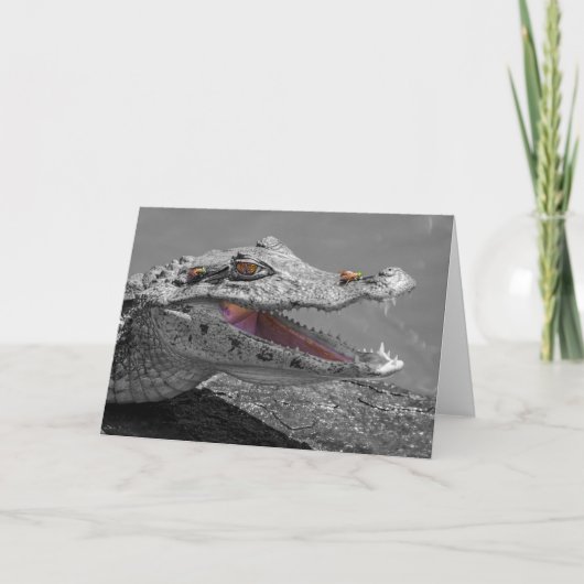 De lachende krokodil en de vliegen kaart (Voorkant)