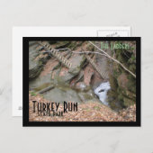 De Ladders, Turkije runt staatspark Briefkaart (Voorkant / Achterkant)