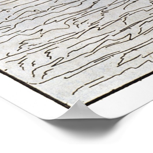 DE LADRONE-EILANDEN POSTER (Hoek)