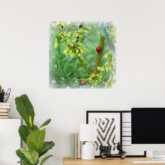 de ladybugs poster (Thuiskantoor)