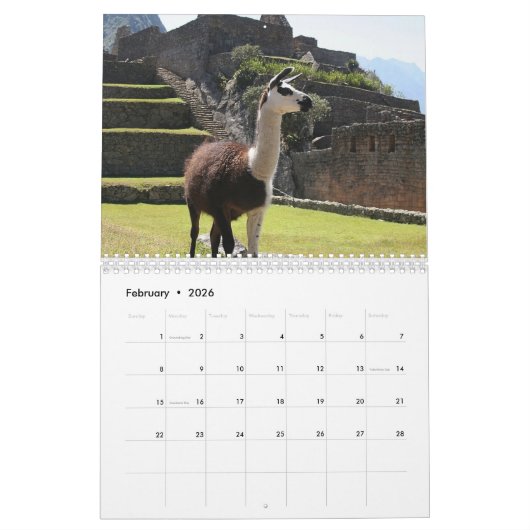 De lama en alpaca elk jaar op maat kalender (Feb 2026)