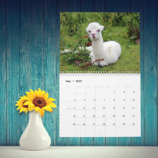 De lama en alpaca elk jaar op maat kalender