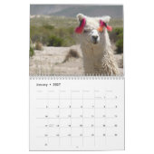 De Lama en Alpaca Elke Jaar aangepaste Kalender (Jan 2027)