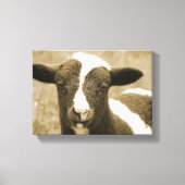 De Lamb duwen Canvas Afdruk (Voorkant)