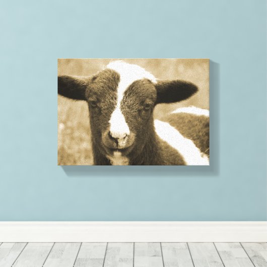 De Lamb duwen Canvas Afdruk (Insitu (Houten vloer))