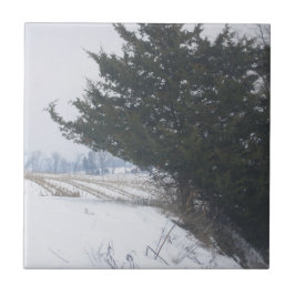 "De landbouwkunst" Tegeltje