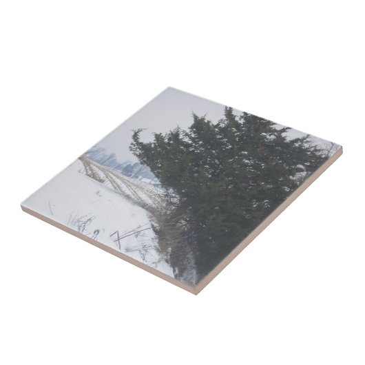 "De landbouwkunst" Tegeltje (Zijkant)