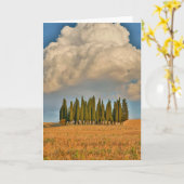 De landelijke Bomen van de Cipres van Toscanië Kaart (Gele Bloem)