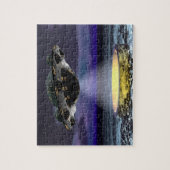 De landing legpuzzel (Verticaal)