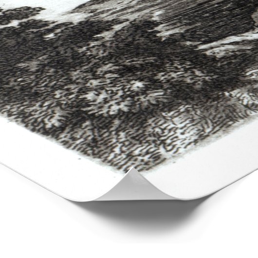 De landing op Tampa Bay Poster (Hoek)