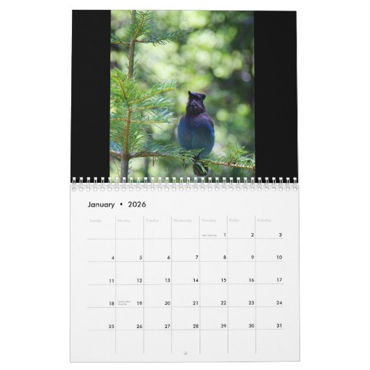 De landschapsfotografie van Michael Snyder Kalender (Jan 2026)