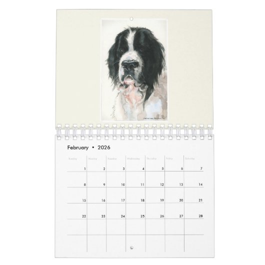 De Landseer Newfoundland Kalender (Feb 2026)