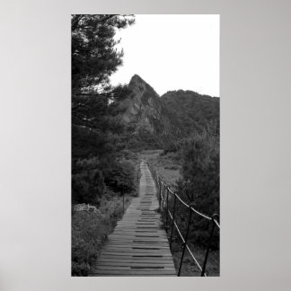 De lange reis poster