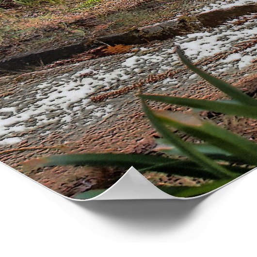 De lange slaap poster (Hoek)