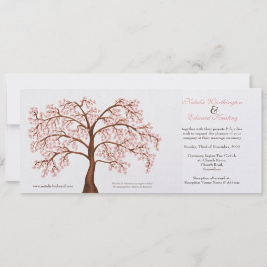 De Lange Uitnodigingen van de Bloesem van de Kers (Achterkant)