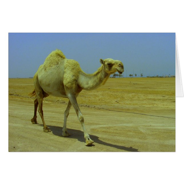 De lange weg afleggen (Voorkant Horizontaal)