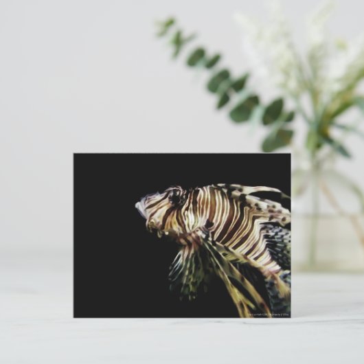 De langoest briefkaart (Staand voorkant)