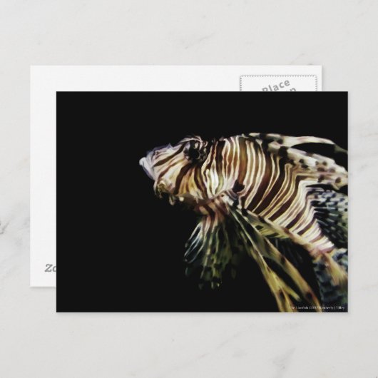 De langoest briefkaart (Voorkant / Achterkant)