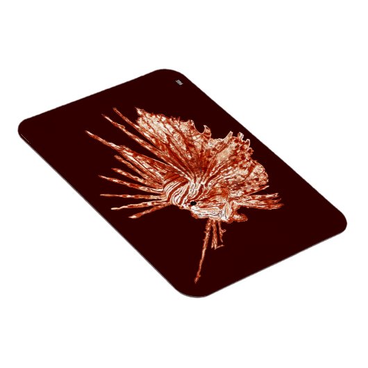 De langoest magneet (Rechterzijde)