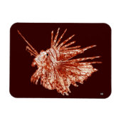 De langoest magneet (Horizontaal)