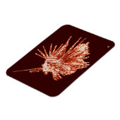 De langoest magneet (Linkerzijde)