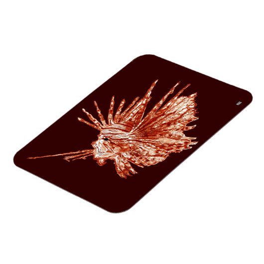 De langoest magneet (Linkerzijde)