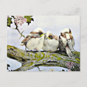 De langstaartmees, Edward Julius Detmold Briefkaart (Voorkant)