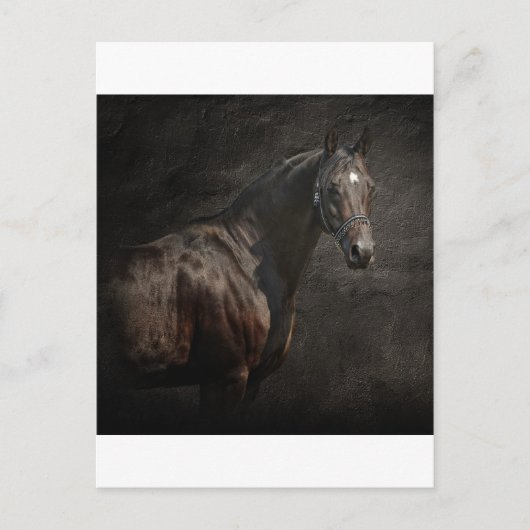 De langste briefkaart (Voorkant)