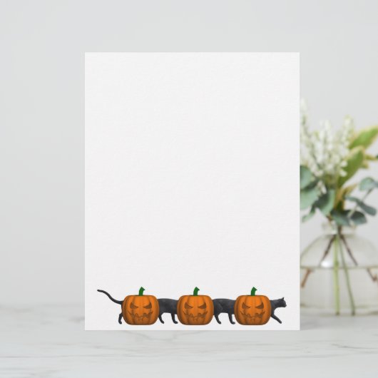 De langste kat ter wereld (Staand voorkant)