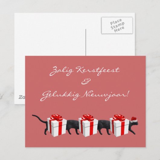 De langste kat ter wereld briefkaart (Voorkant / Achterkant)