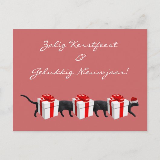 De langste kat ter wereld briefkaart (Voorkant)