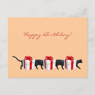 De langste kat ter wereld briefkaart