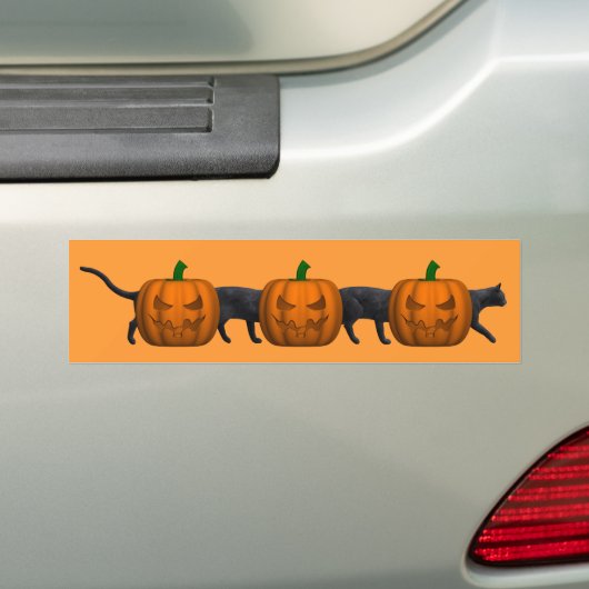 De langste kat ter wereld bumpersticker (Op auto)