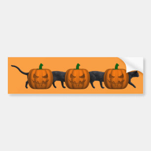 De langste kat ter wereld bumpersticker