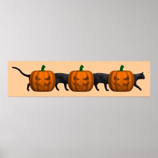 De langste kat ter wereld poster (Voorkant)