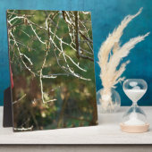 De lantaarn fotoplaat (Zijkant)