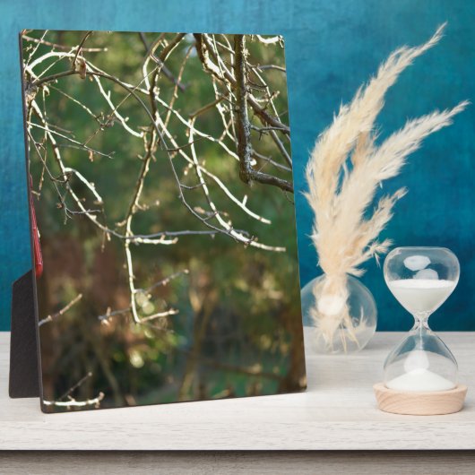 De lantaarn fotoplaat (Zijkant)