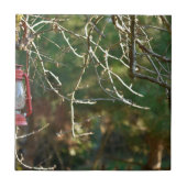 De lantaarn tegeltje (Voorkant)