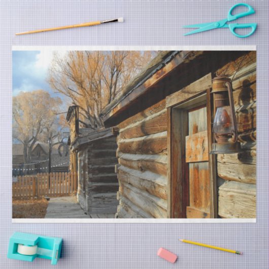 De lantaarn tissuepapier (Craft)