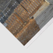 De lantaarn tissuepapier (Detail)