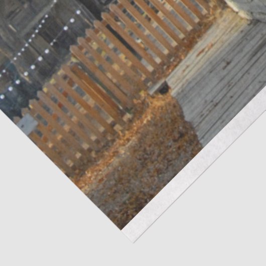 De lantaarn tissuepapier (Detail)