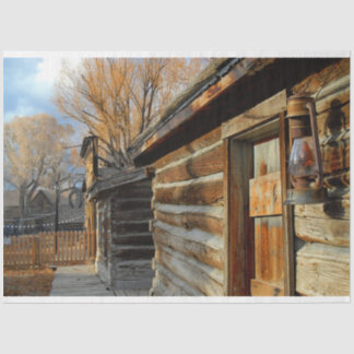 De lantaarn tissuepapier