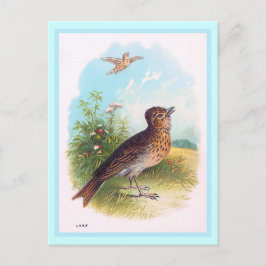 "De Lark"  illustratie Briefkaart