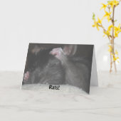 De late Kaart van de Verjaardag (Gele Bloem)